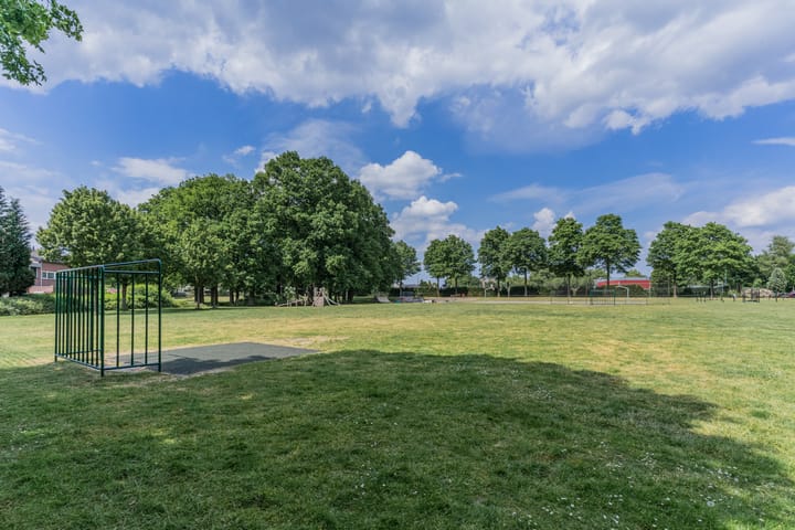 Foto 28 van Dalkruid 34