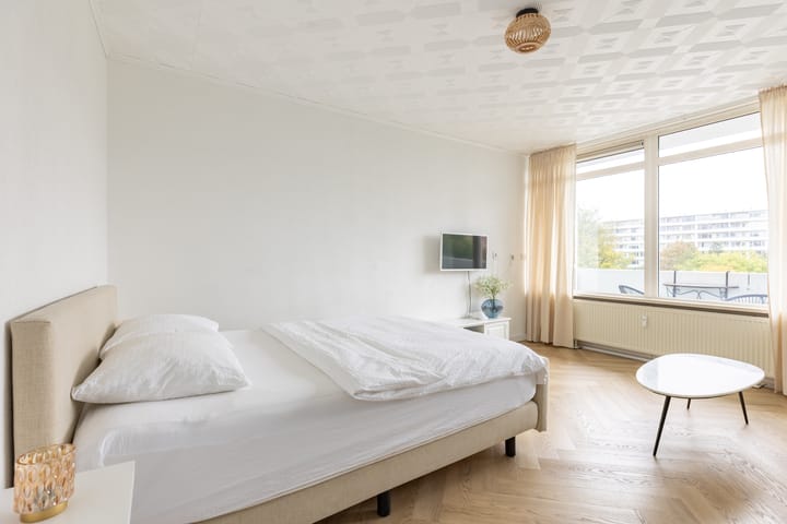 Foto 13 van Van Ostadelaan 446