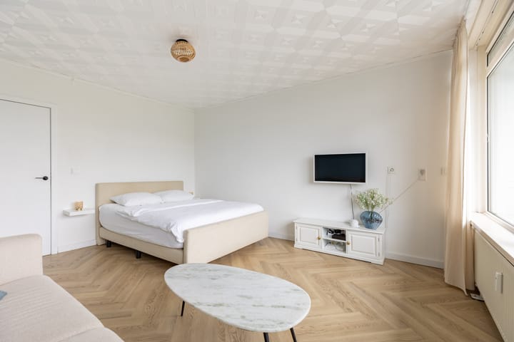 Foto 15 van Van Ostadelaan 446