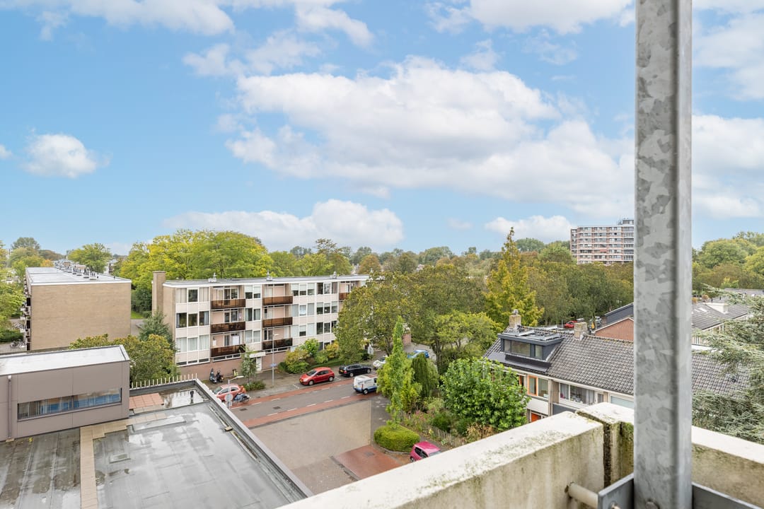 Foto 31 van Van Ostadelaan 446