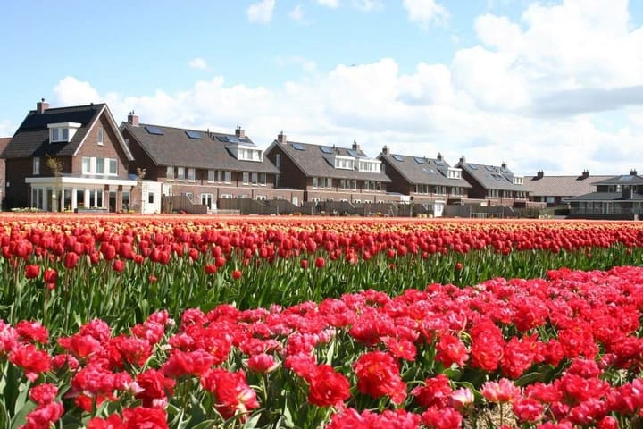 Photo 2 of W.L. Döllstraat 85