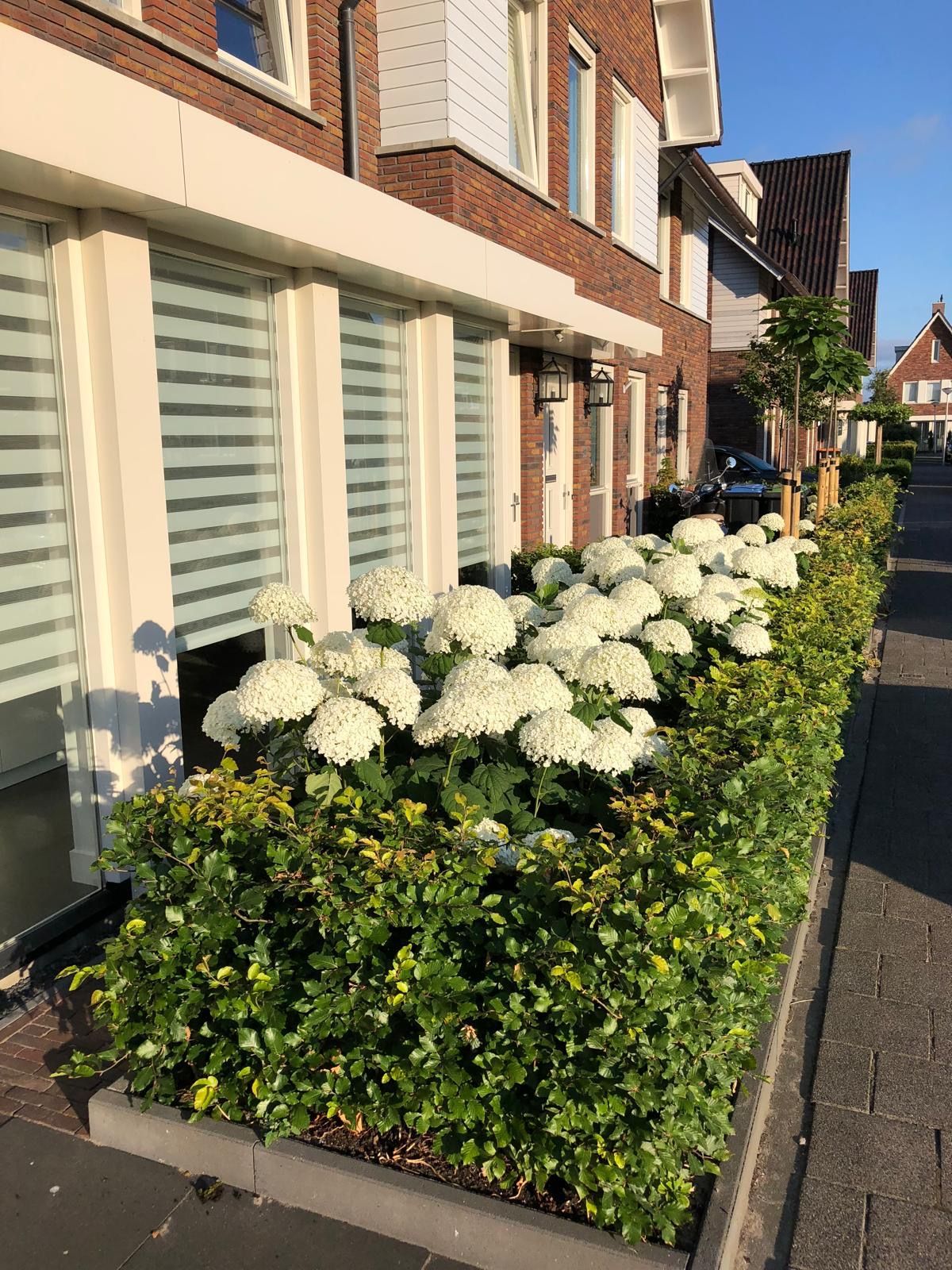 Foto 45 van W.L. Döllstraat 85