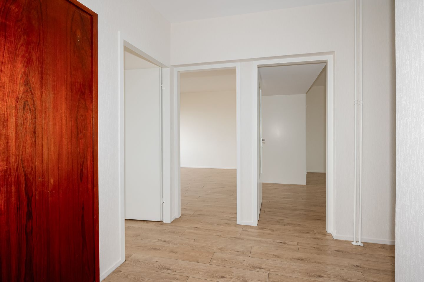 Foto 5 van Forellendaal 736