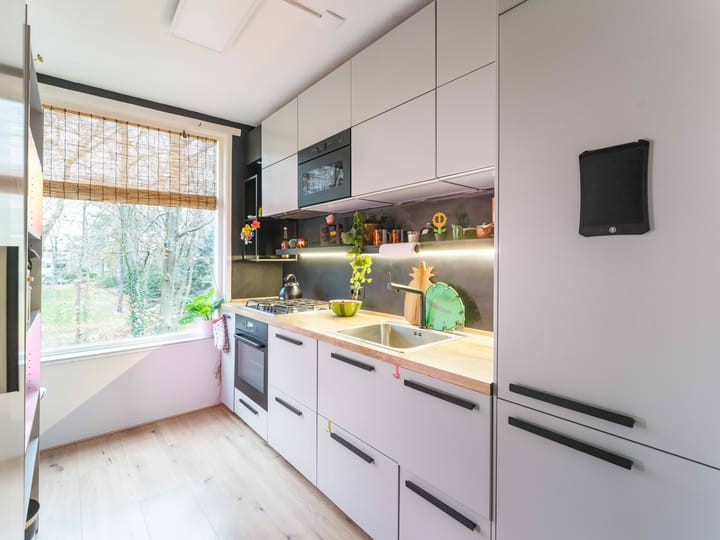 Foto 13 van Plesmanstraat 387