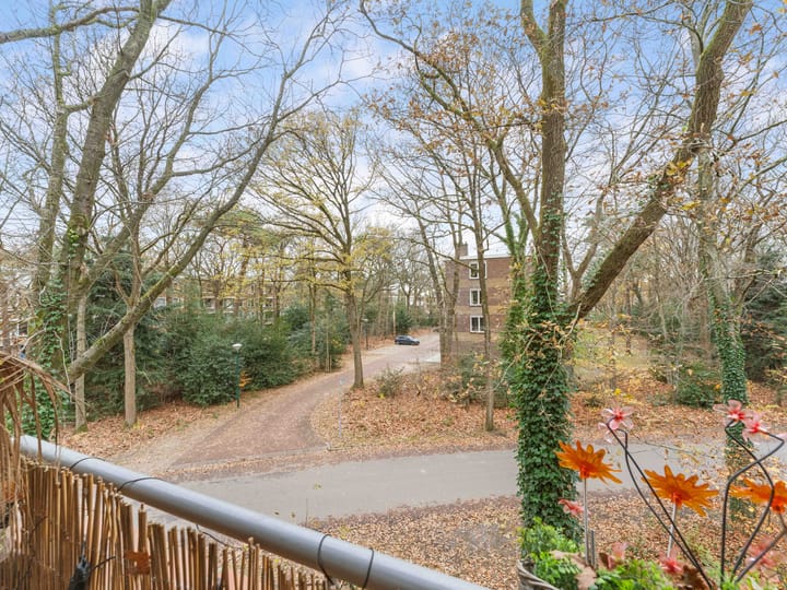 Foto 26 van Plesmanstraat 387