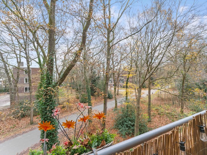 Foto 27 van Plesmanstraat 387