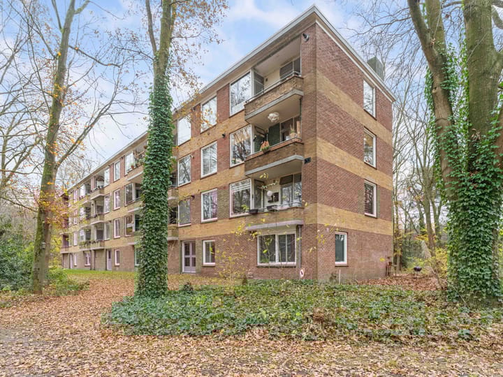 Foto 31 van Plesmanstraat 387