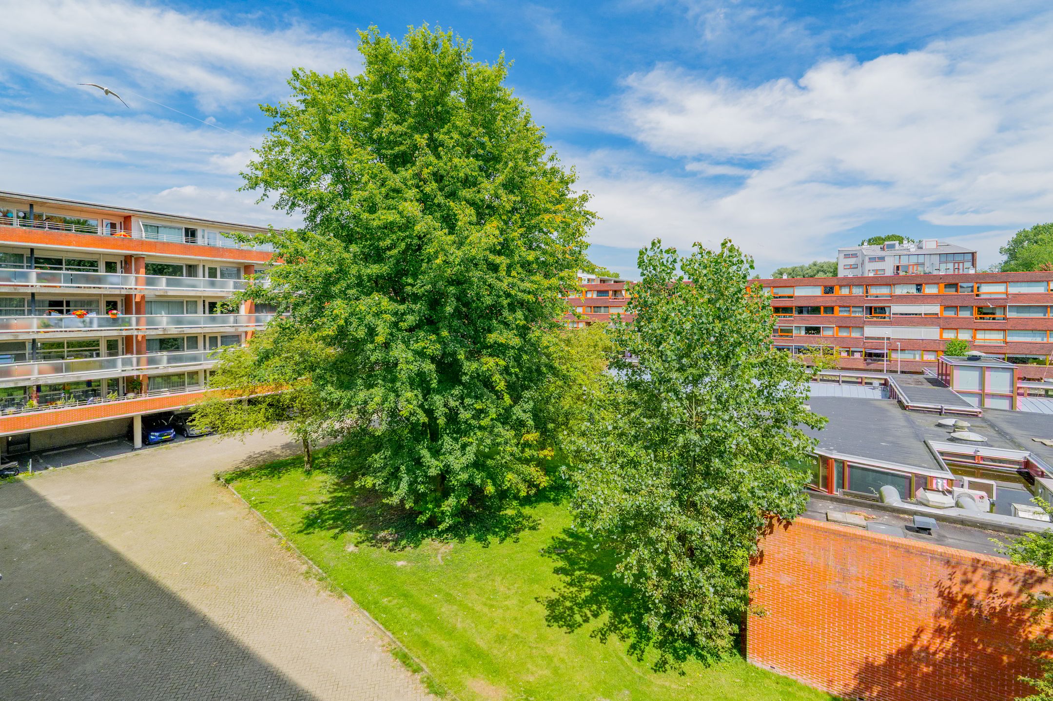 Foto 36 van Oeverpad 267