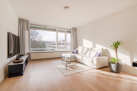 Stoeplaan 11-F55 secondary image