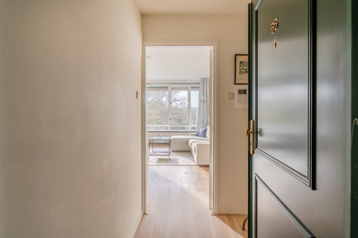 Foto 9 van Stoeplaan 11-F55