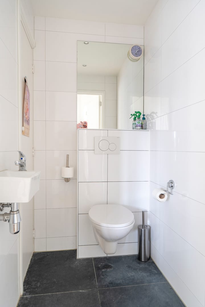 Foto 17 van Stoeplaan 11-F55