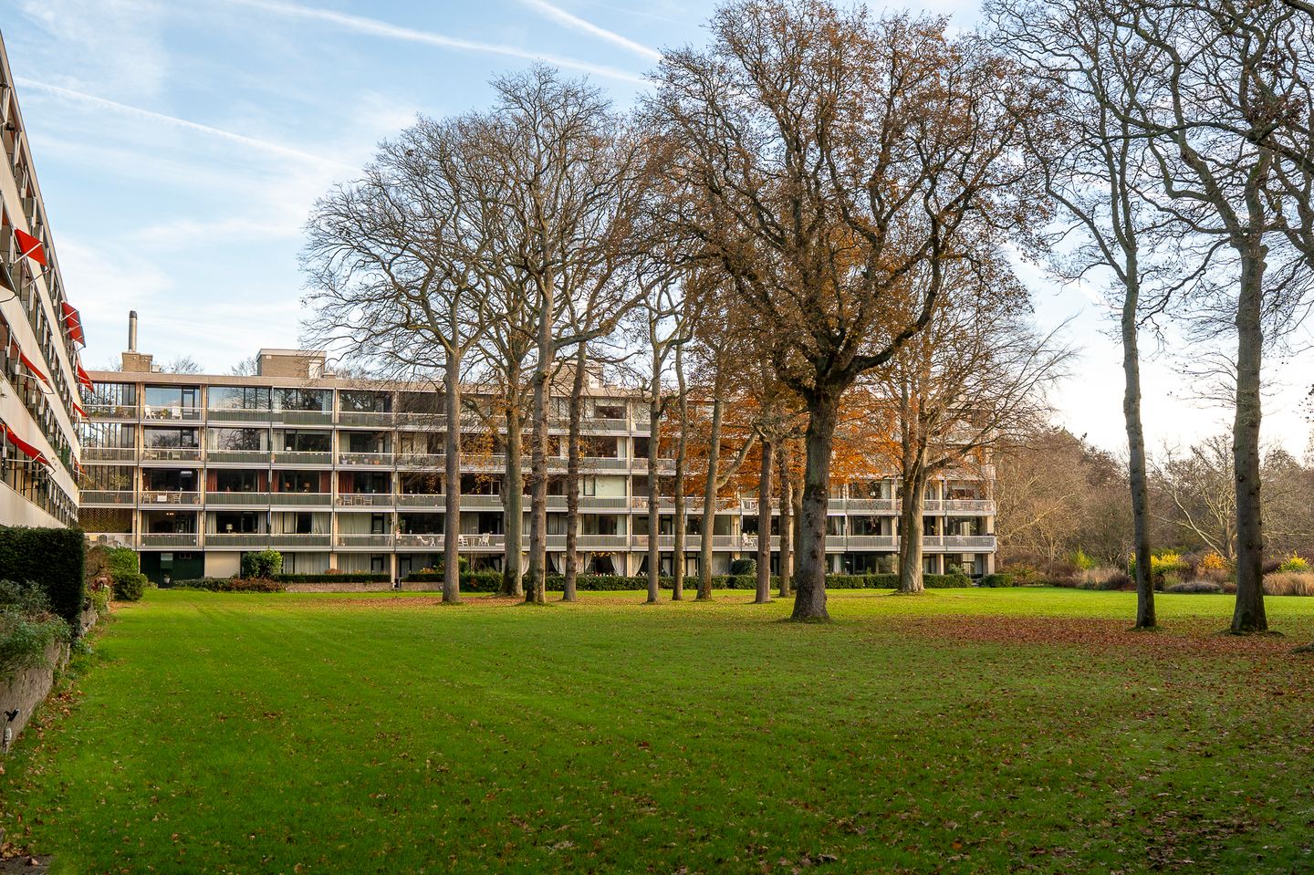 Foto 5 van Stoeplaan 11-F55