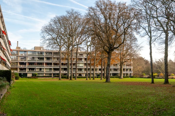 Foto 5 van Stoeplaan 11-F55