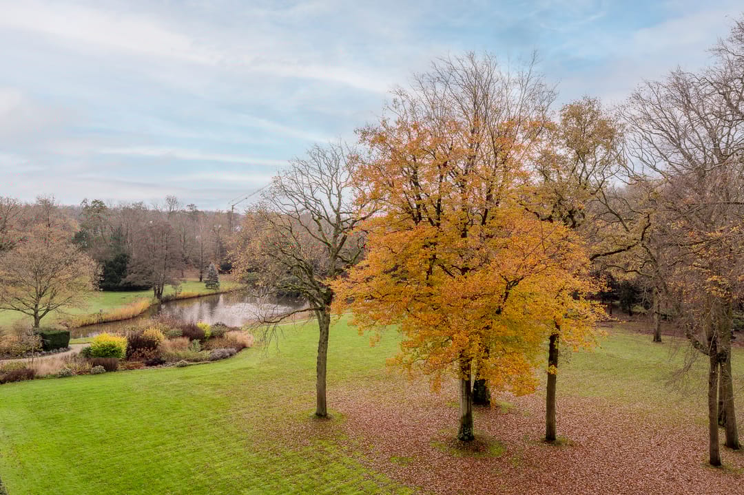 Foto 26 van Stoeplaan 11-F55