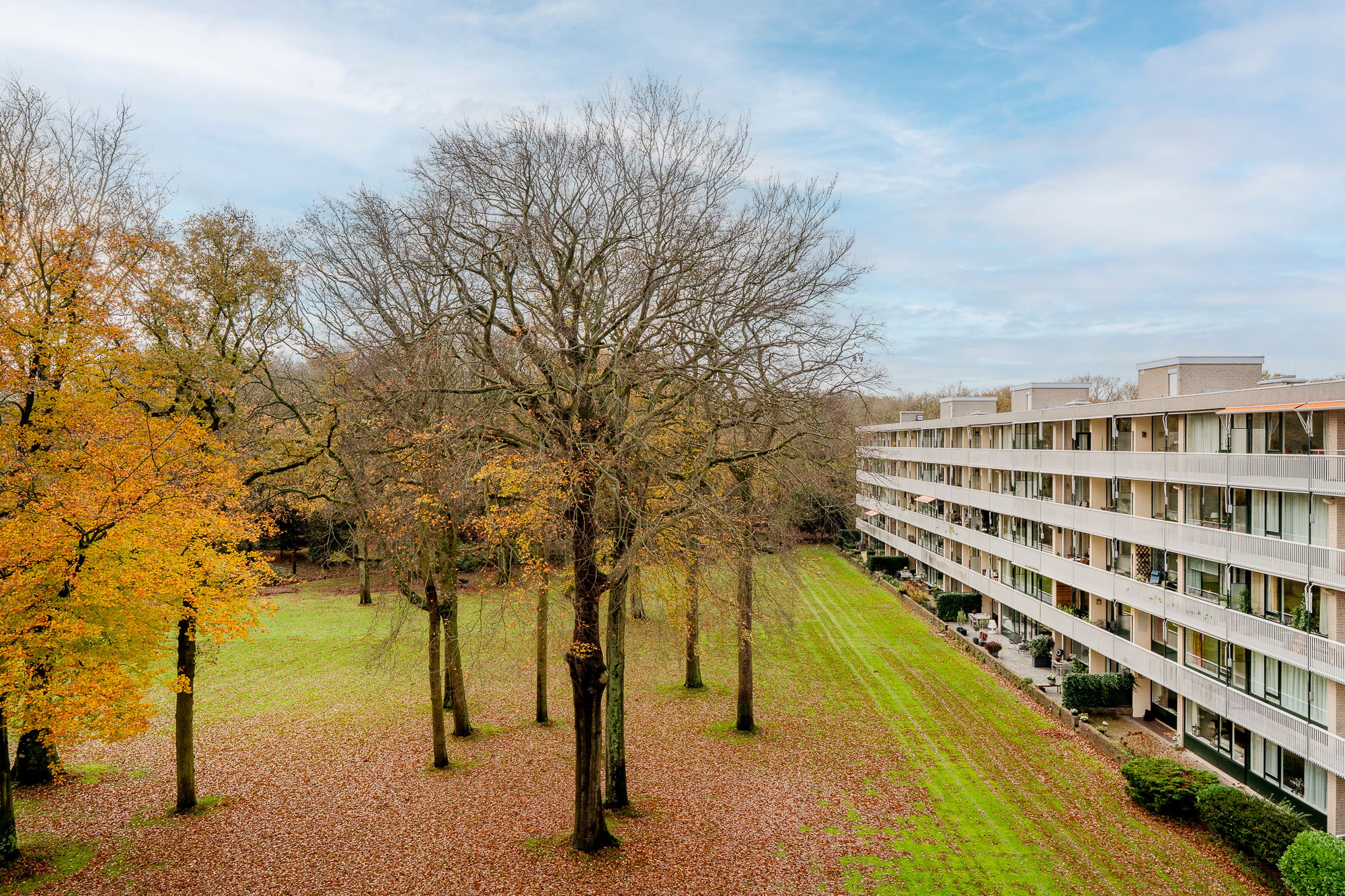 Foto 27 van Stoeplaan 11-F55