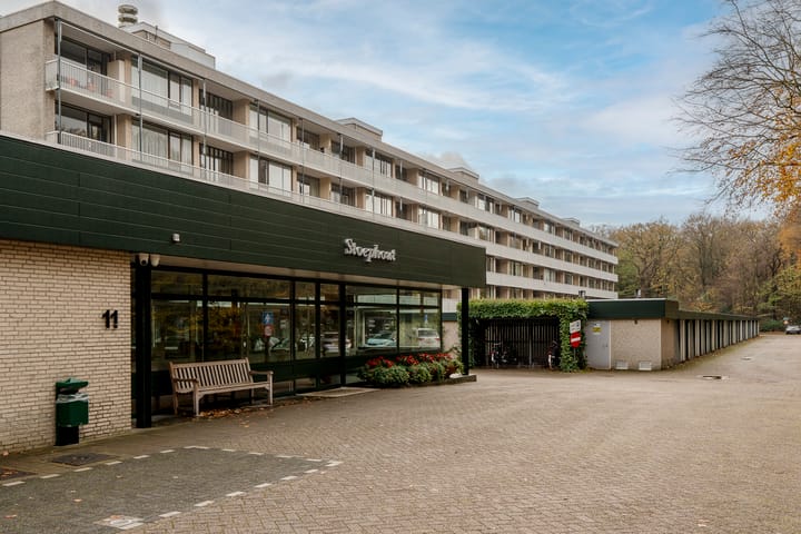 Foto 6 van Stoeplaan 11-F55