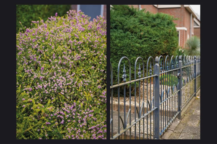 Foto 37 van Walmolen 7