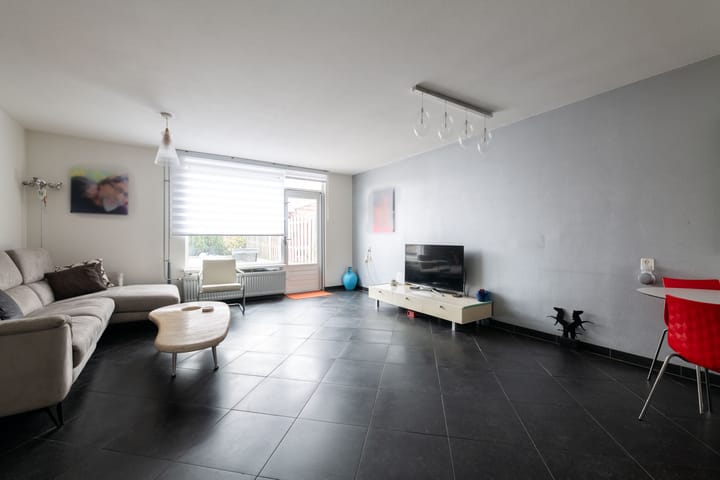 Photo 5 of Schorpioen 4