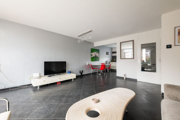 Photo 7 of Schorpioen 4