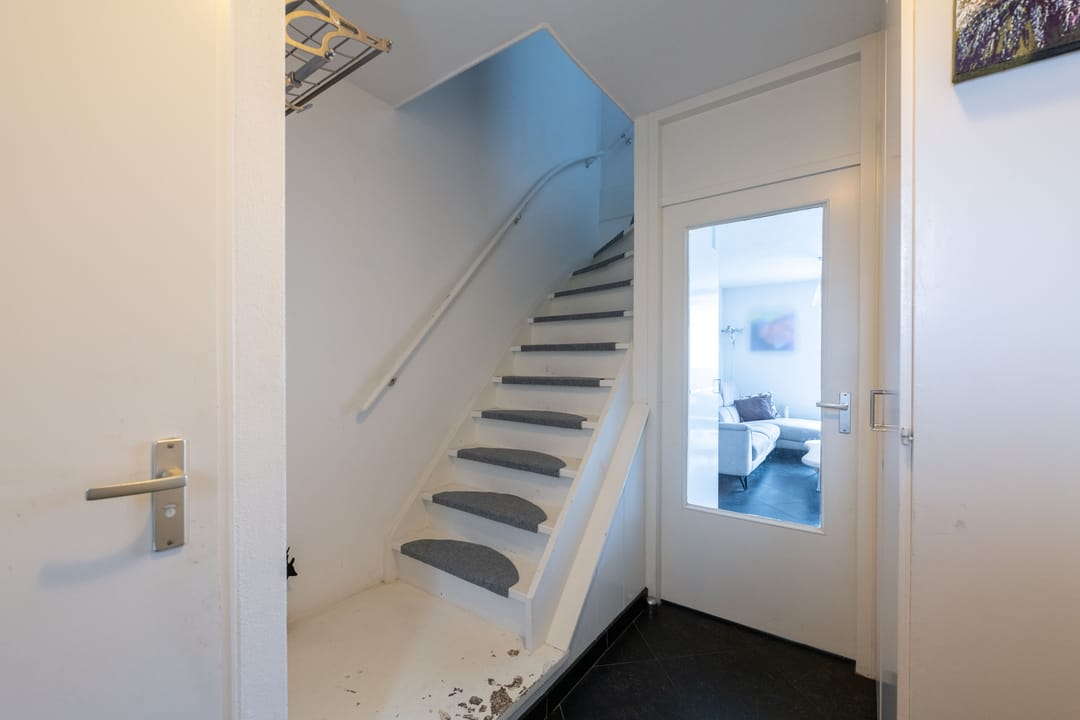 Foto 13 van Schorpioen 4