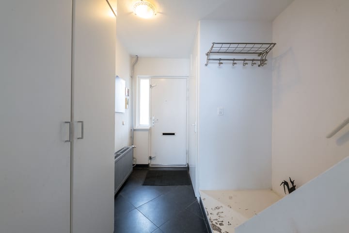 Photo 15 of Schorpioen 4