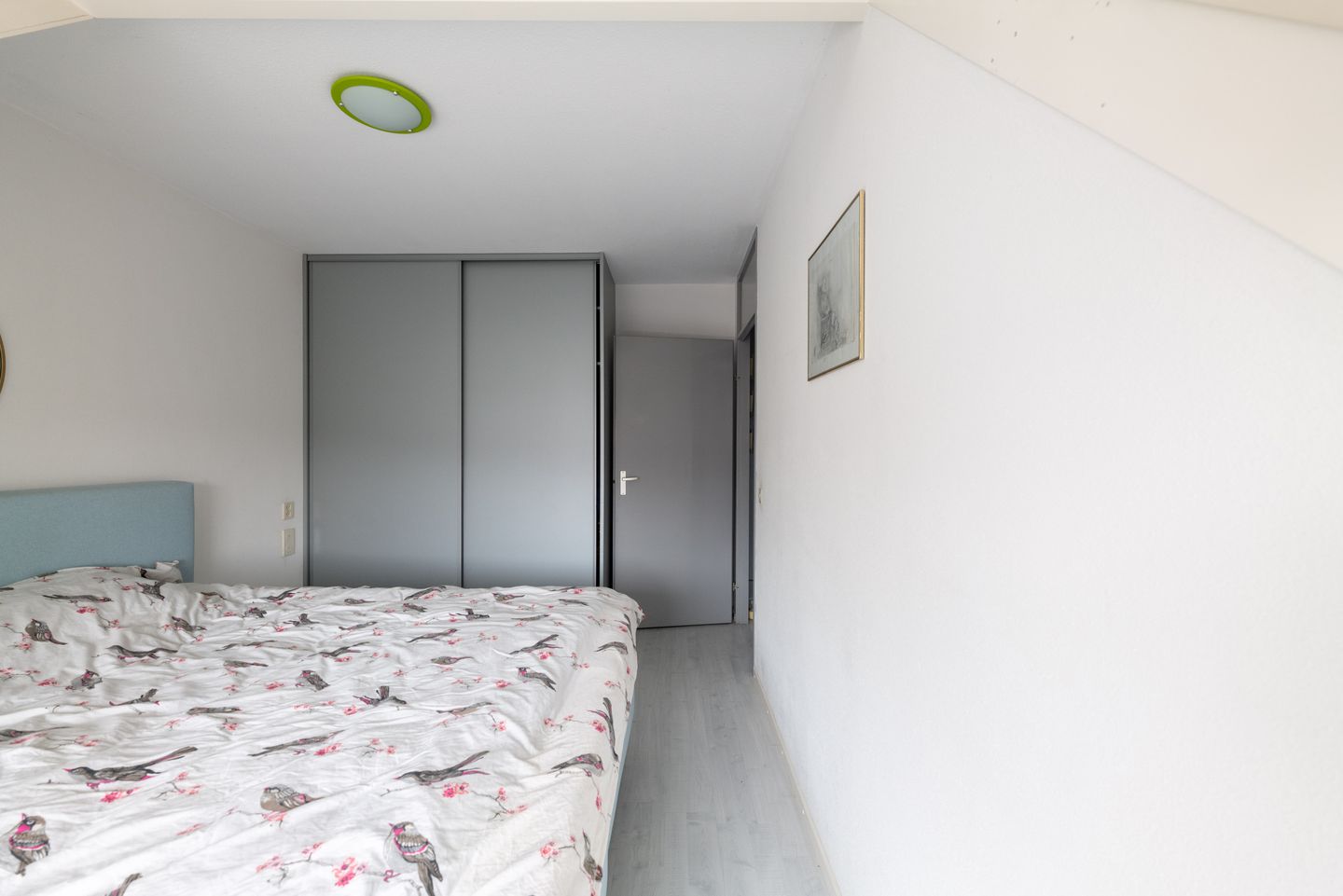 Foto 20 van Schorpioen 4