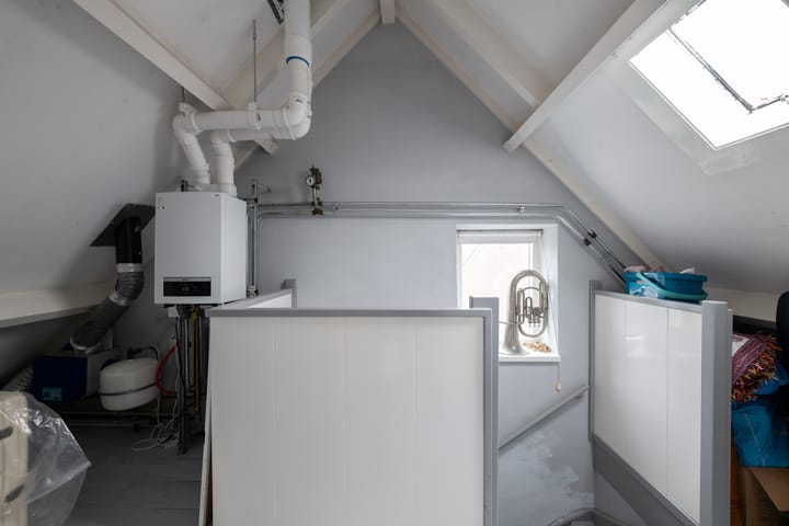 Photo 29 of Schorpioen 4