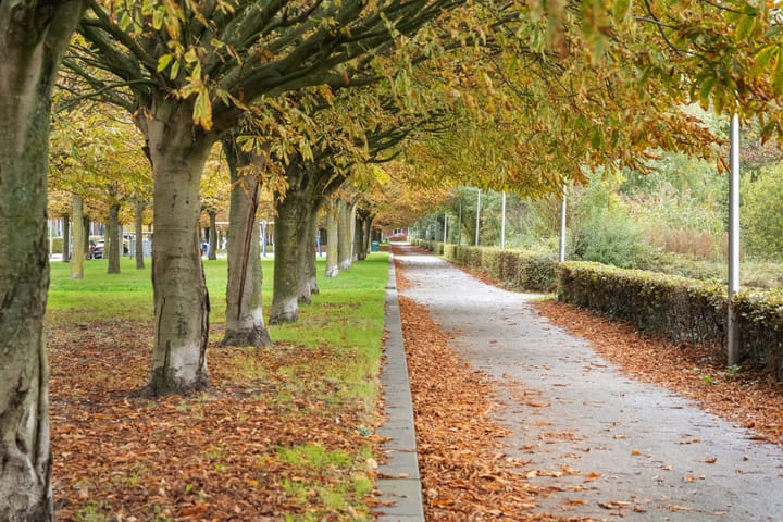 Foto 49 van Uniceflaan 4