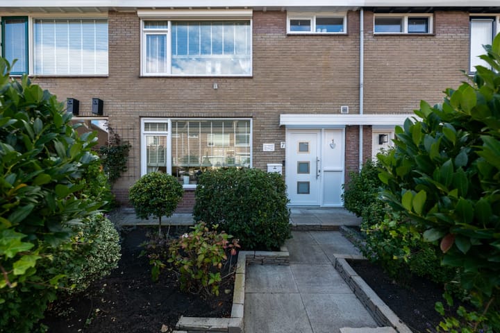 Foto 2 van Taludstraat 7