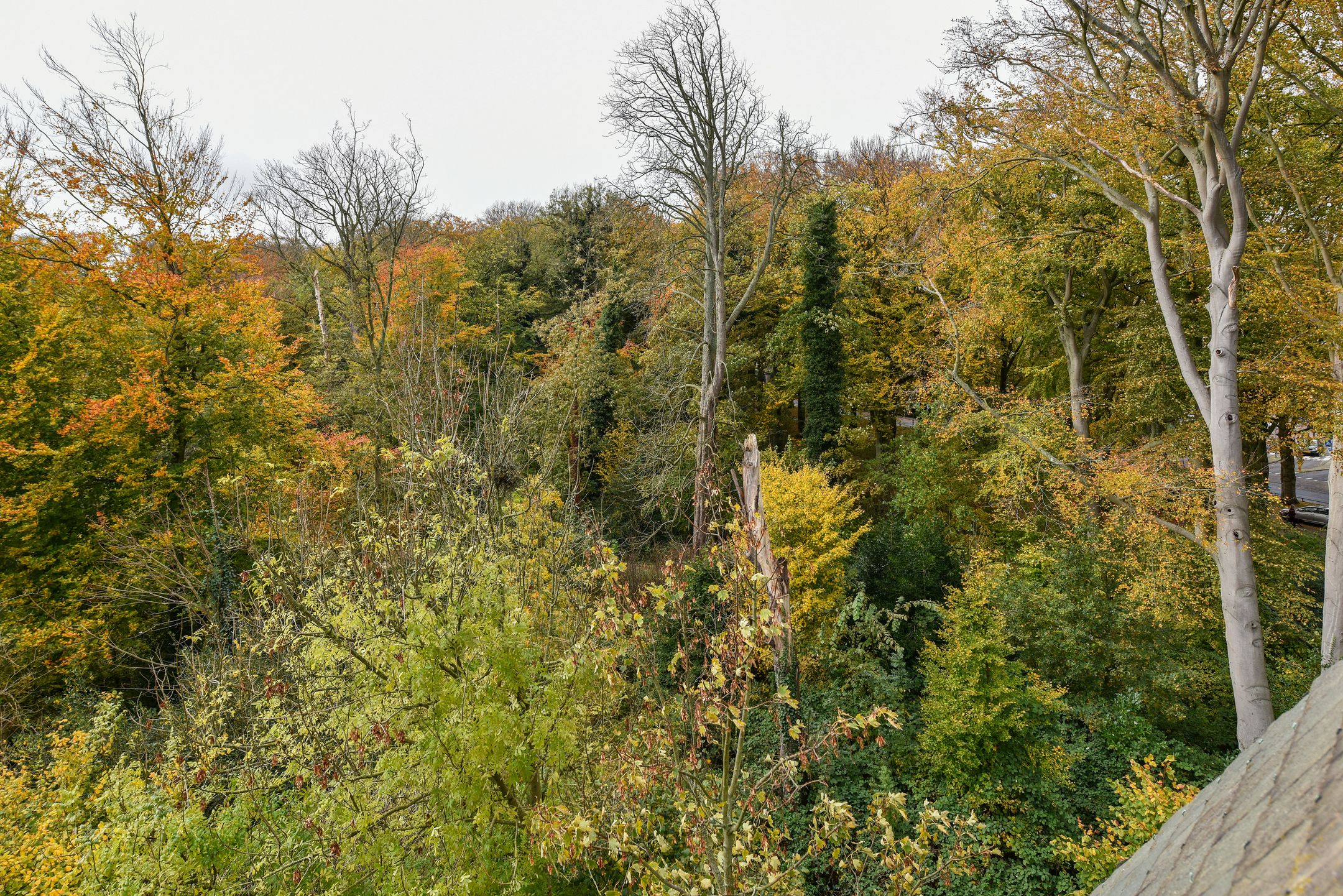 Photo 33 of Kennemerstraatweg 2-Z