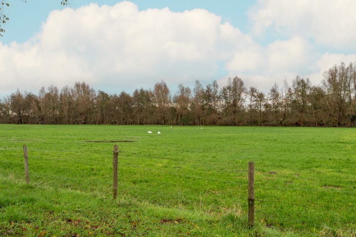 Foto 33 van Korhoenlaan 3