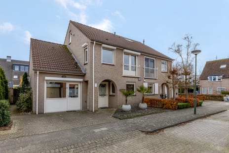 undefined main image