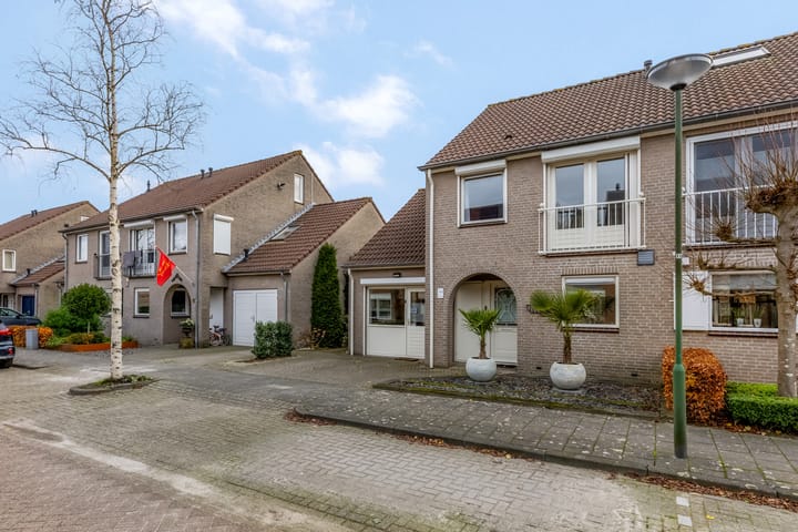 Foto 46 van Bieslook 63