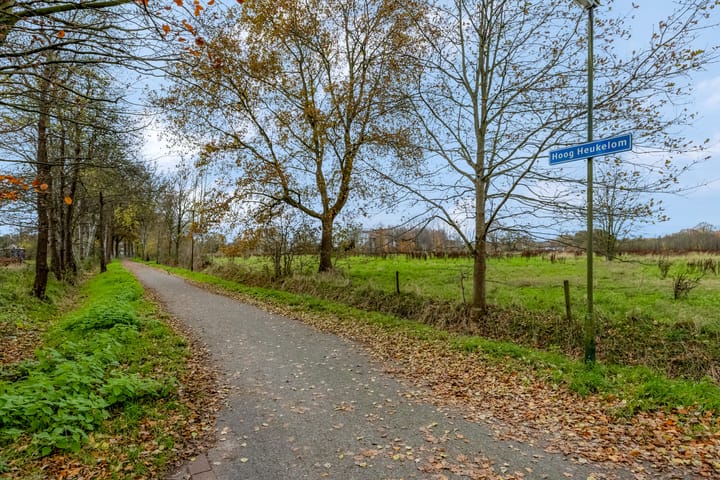 Foto 50 van Bieslook 63