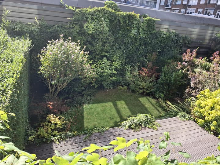 Foto 15 van Van Maanenstraat 19-A