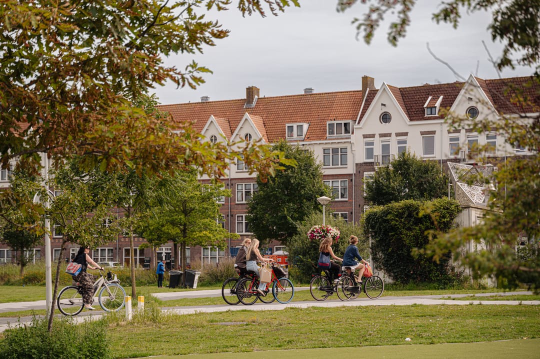 Photo 32 of Revaleiland 49