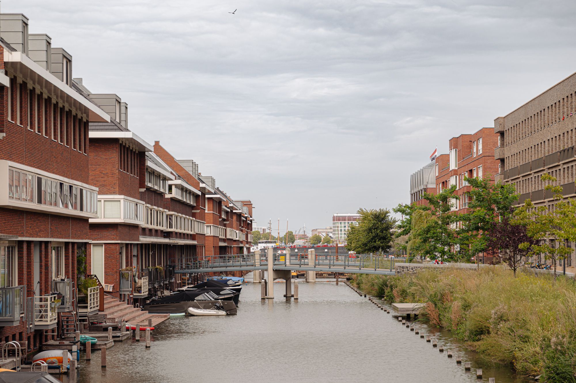 Photo 33 of Revaleiland 49