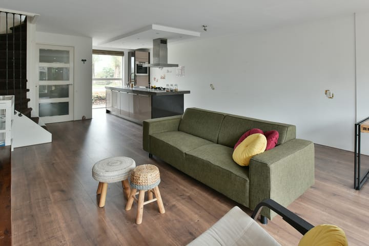 Foto 2 van Bruine Lijster 16