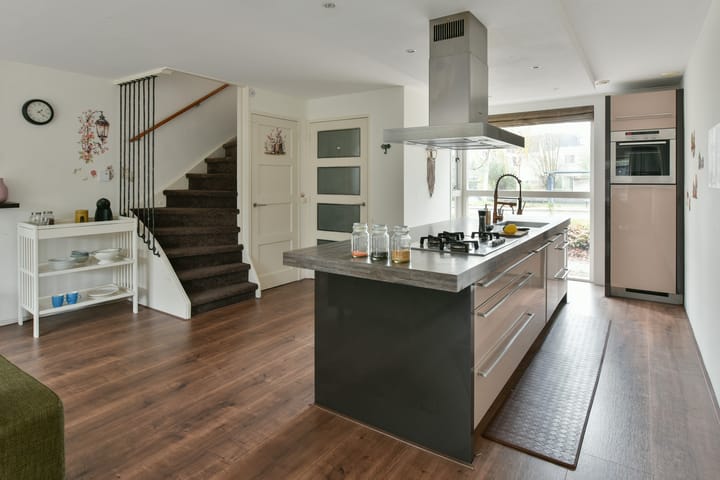 Foto 3 van Bruine Lijster 16