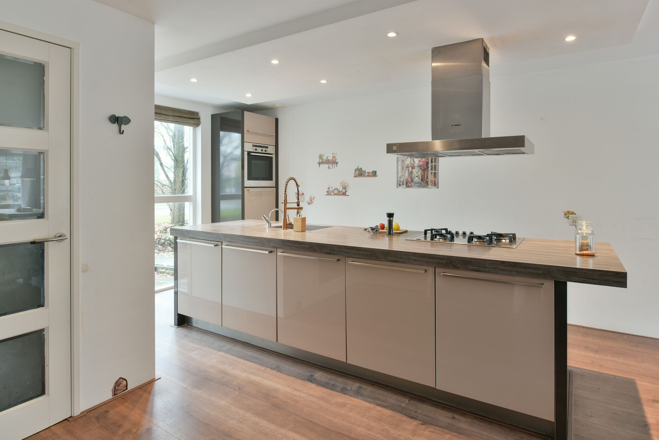 Photo 6 of Bruine Lijster 16