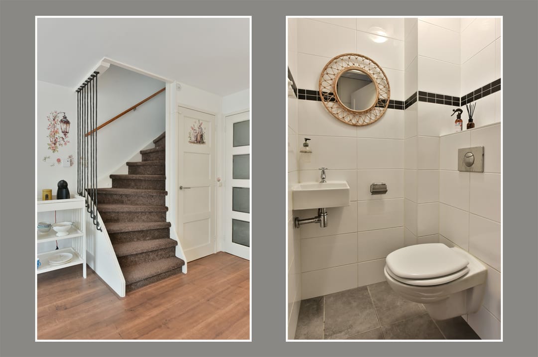 Photo 7 of Bruine Lijster 16