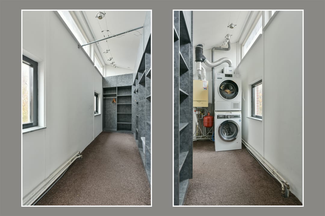 Photo 8 of Bruine Lijster 16