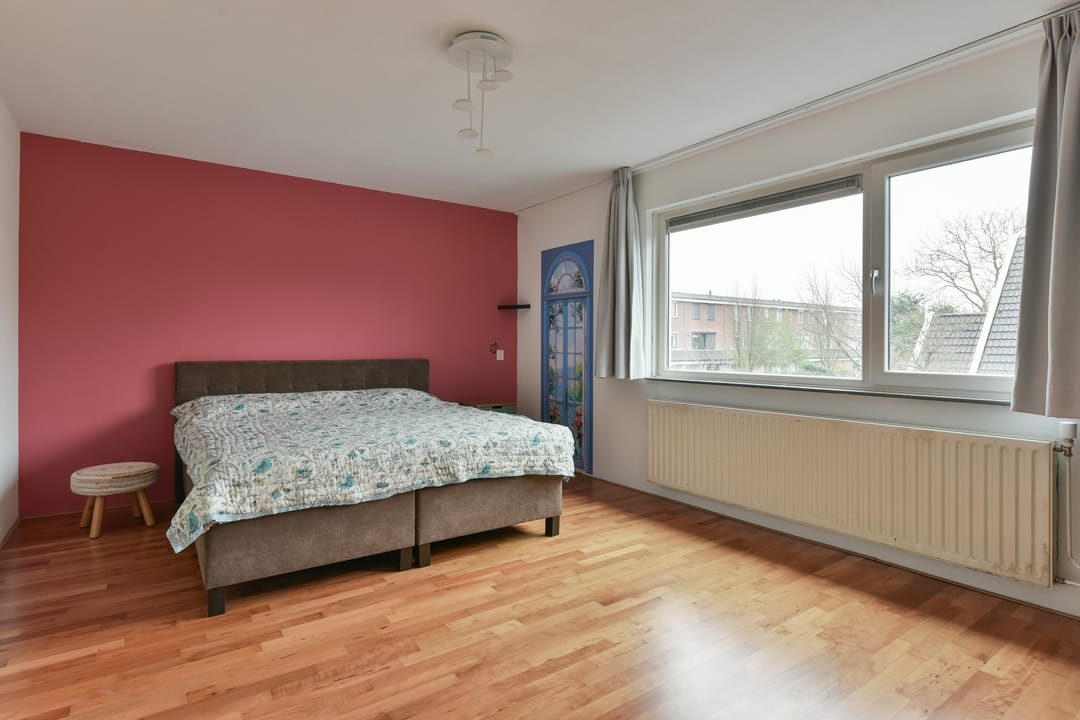 Photo 11 of Bruine Lijster 16