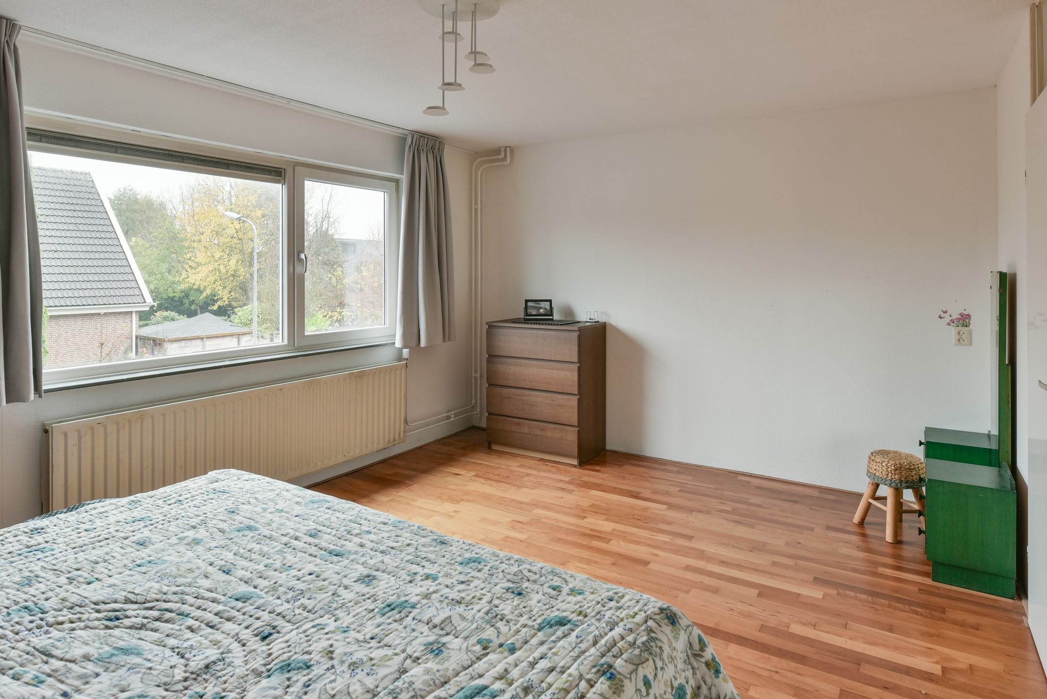 Photo 12 of Bruine Lijster 16