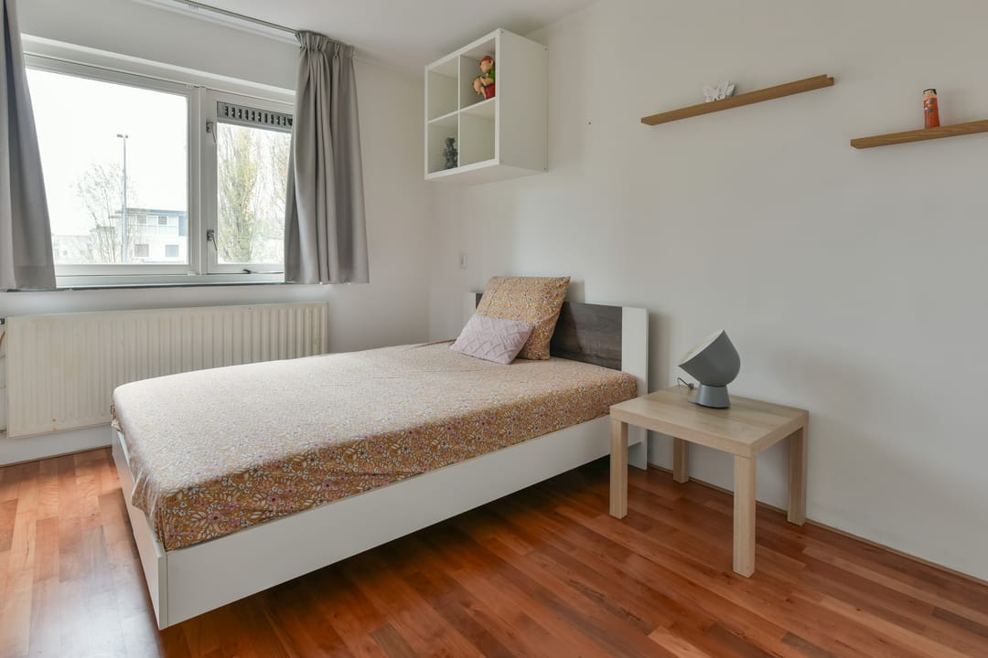 Photo 13 of Bruine Lijster 16