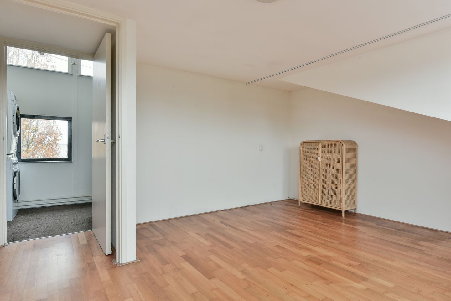 Photo 14 of Bruine Lijster 16