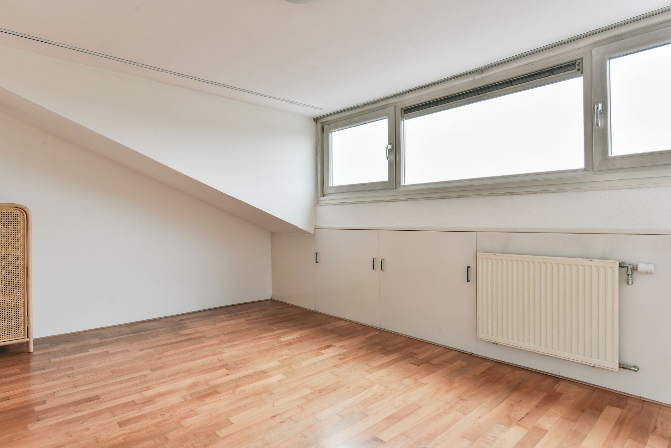 Photo 15 of Bruine Lijster 16