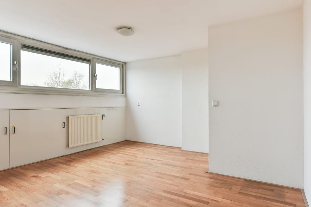 Photo 16 of Bruine Lijster 16