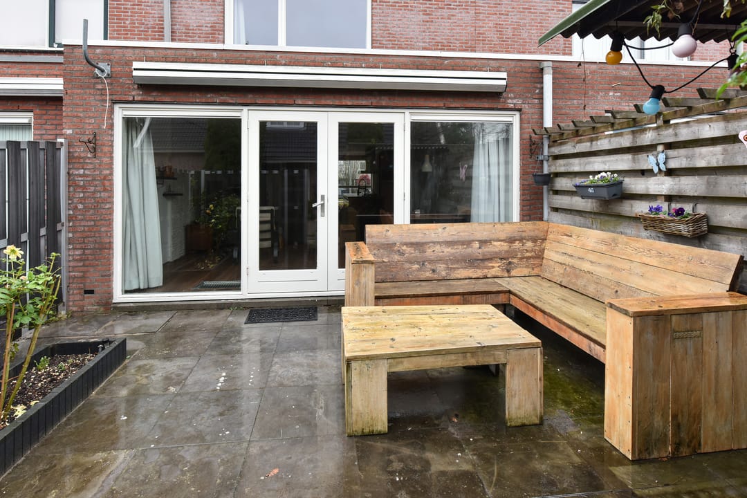 Photo 17 of Bruine Lijster 16