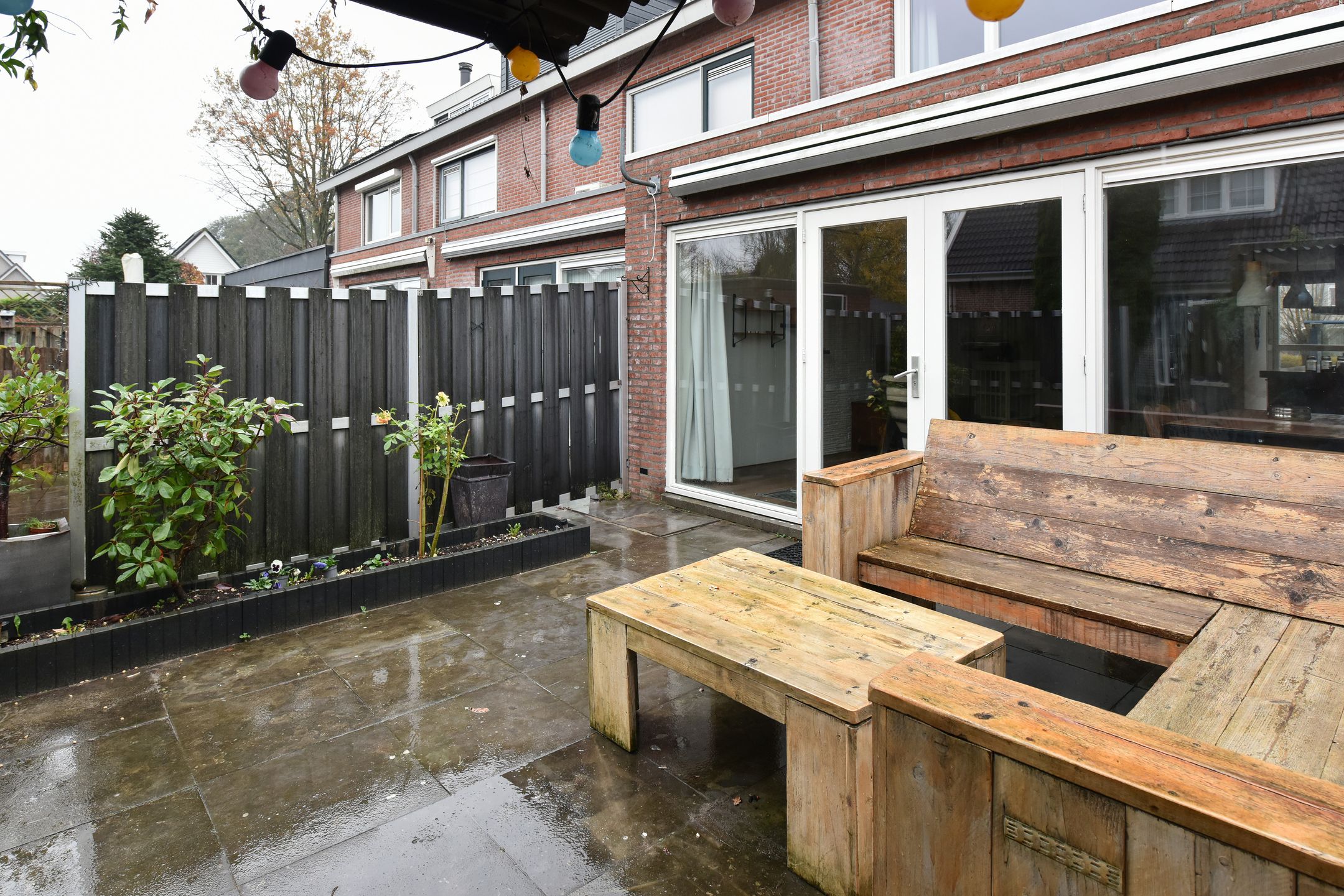 Photo 18 of Bruine Lijster 16